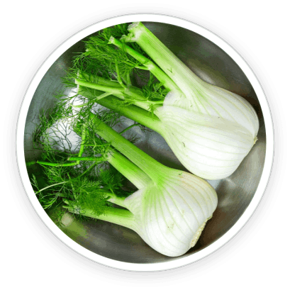 PrimeBiome   Ingredients 